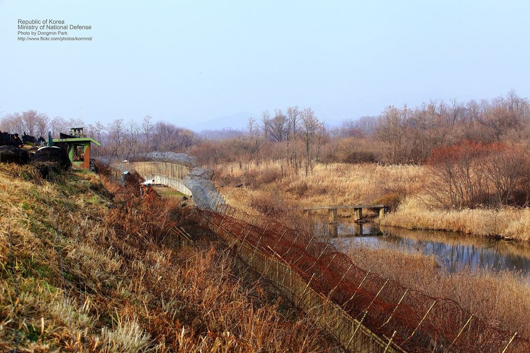 전방 철책과 그 너머 비무장지대의 개울과 들판 (2012년)
